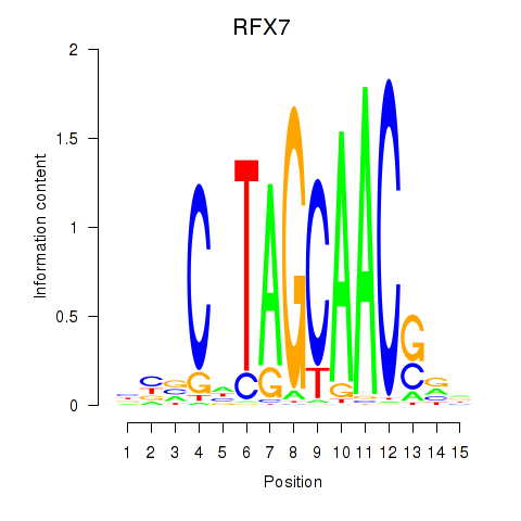 logo of RFX7