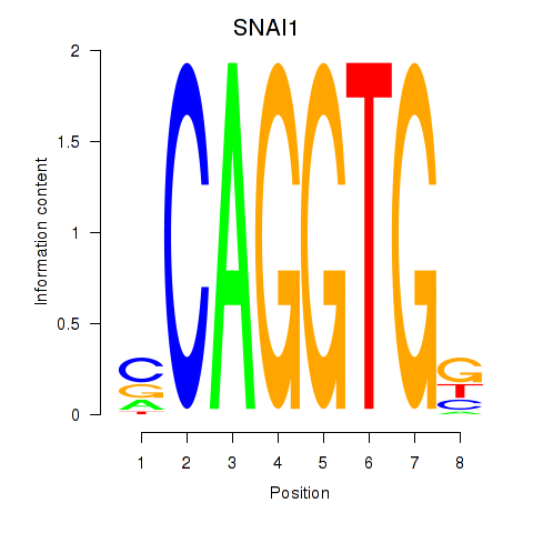 logo of SNAI1