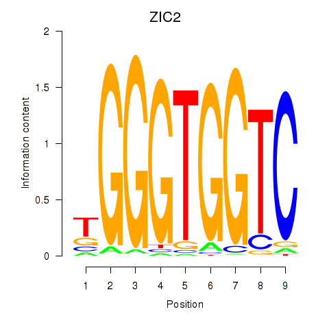 logo of ZIC2