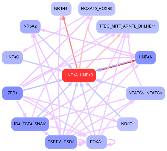 first level interaction network of HNF1A_HNF1B