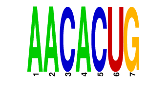 logo of AACACUG