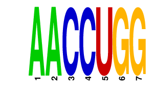 logo of AACCUGG
