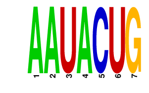 logo of AAUACUG
