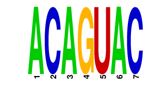 logo of ACAGUAC
