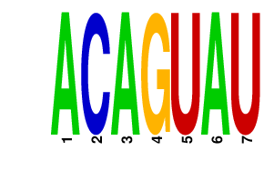 logo of ACAGUAU