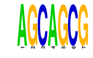 logo of AGCAGCG