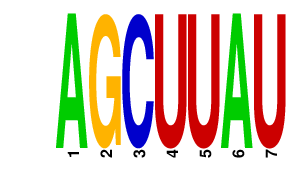 logo of AGCUUAU