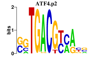 logo of ATF4.p2