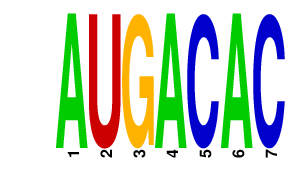 logo of AUGACAC