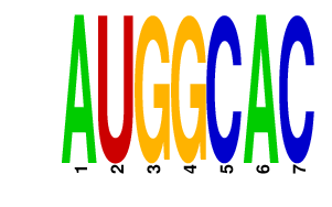 logo of AUGGCAC
