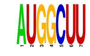 logo of AUGGCUU