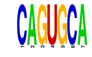 logo of CAGUGCA