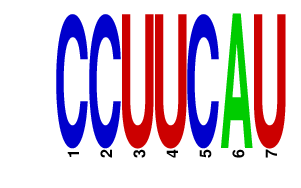 logo of CCUUCAU