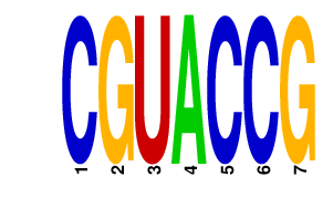 logo of CGUACCG