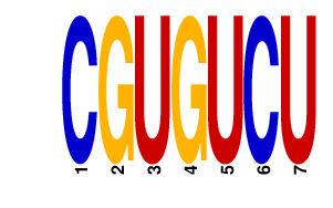 logo of CGUGUCU