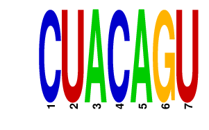 logo of CUACAGU
