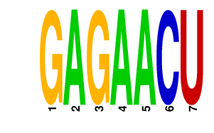 logo of GAGAACU