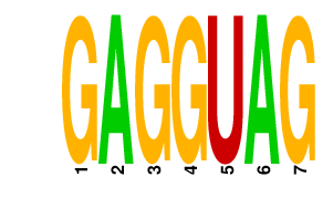 logo of GAGGUAG