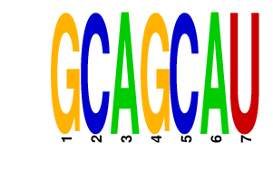 logo of GCAGCAU
