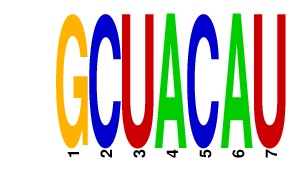 logo of GCUACAU