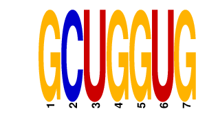 logo of GCUGGUG
