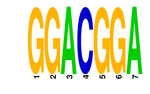 logo of GGACGGA