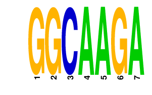 logo of GGCAAGA