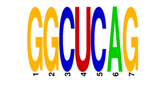 logo of GGCUCAG