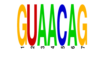 logo of GUAACAG