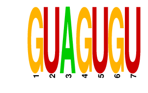 logo of GUAGUGU