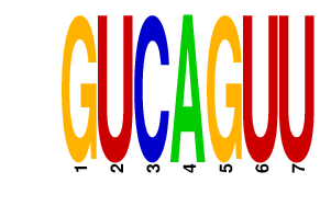 logo of GUCAGUU