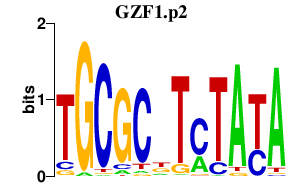 logo of GZF1.p2