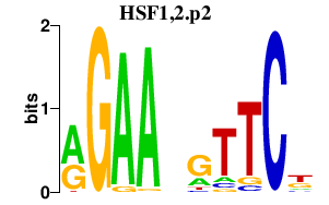 logo of HSF1,2.p2