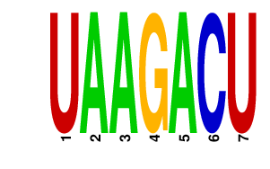 logo of UAAGACU
