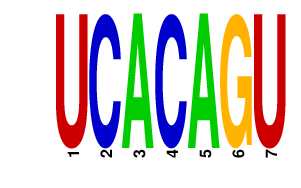 logo of UCACAGU
