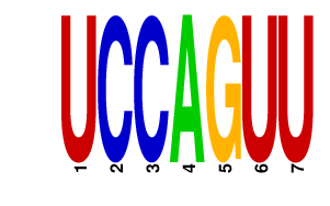 logo of UCCAGUU