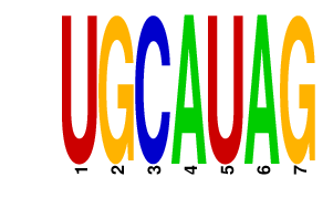 logo of UGCAUAG
