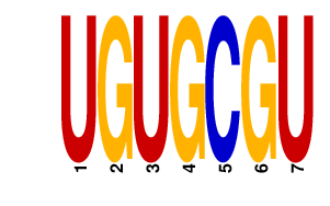 logo of UGUGCGU