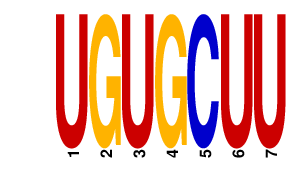 logo of UGUGCUU