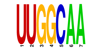 logo of UUGGCAA