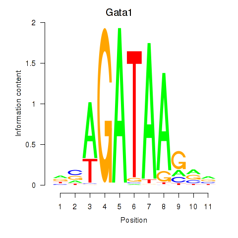 logo of Gata1