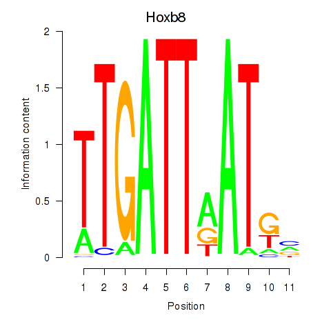logo of Hoxb8