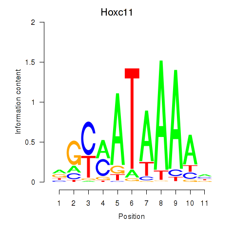 logo of Hoxc11