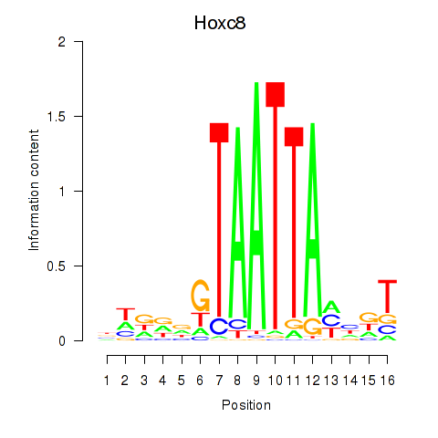 logo of Hoxc8