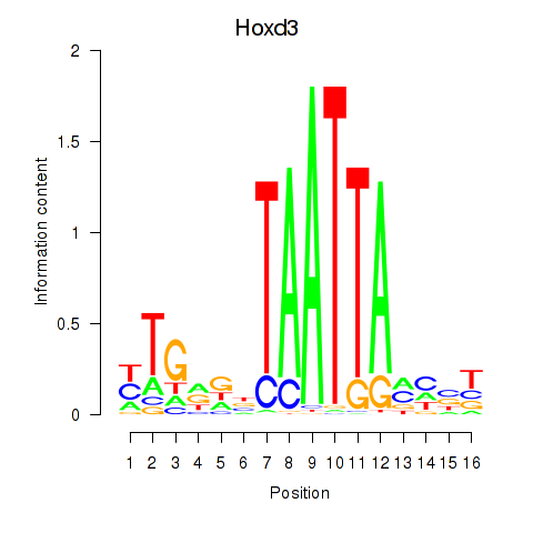 logo of Hoxd3