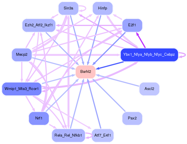 PNG image of the network