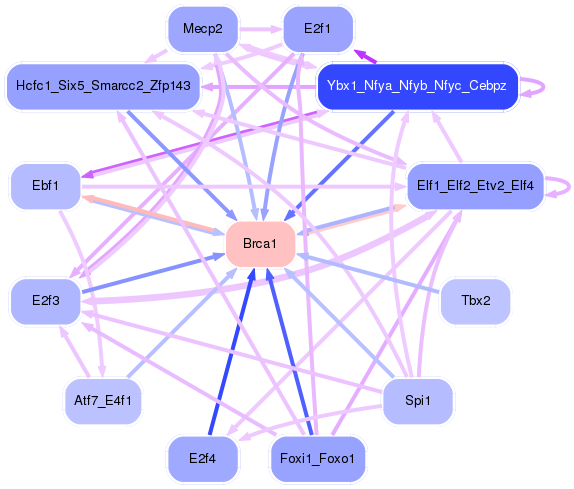 PNG image of the network