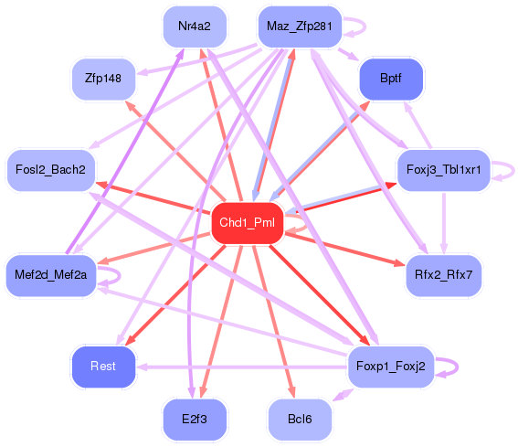 PNG image of the network