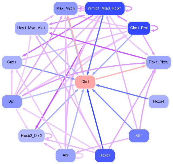 PNG image of the network