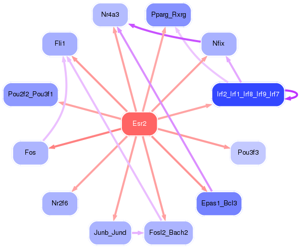 PNG image of the network